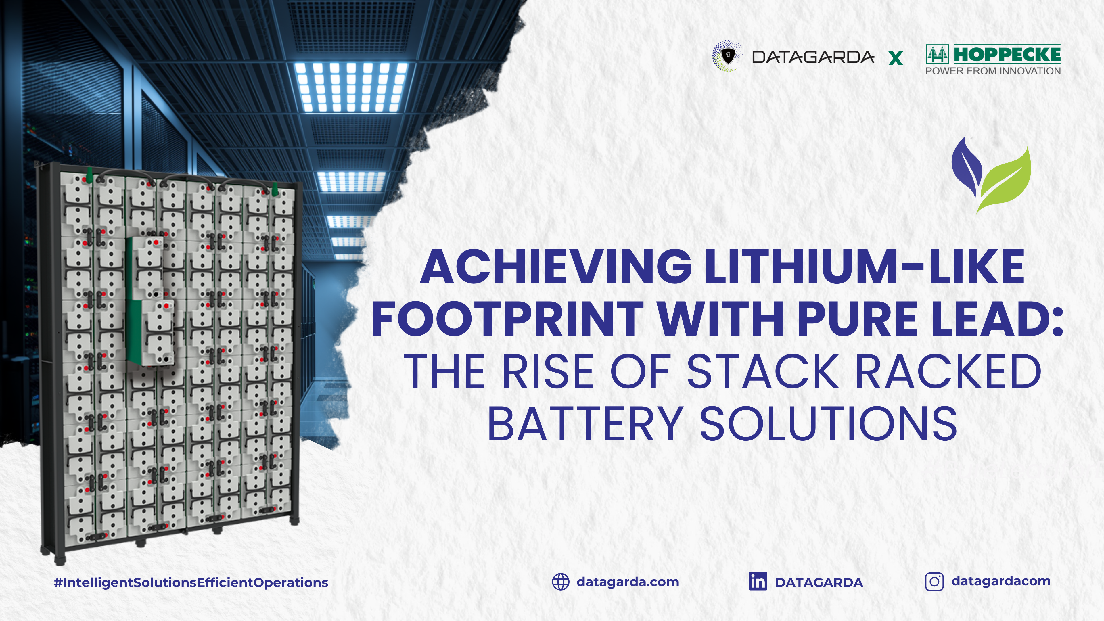 DG – Article Tumbnail (3)